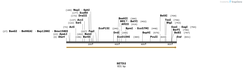 11822_map