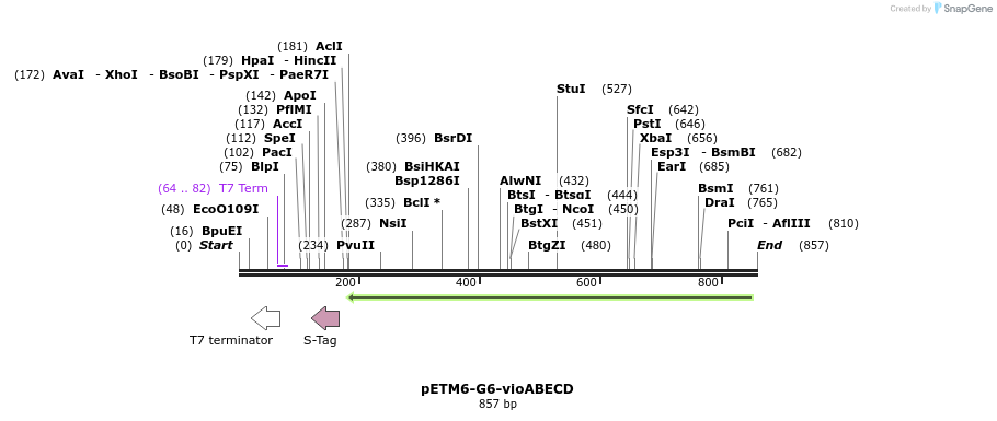 118221_map