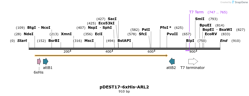 118231_map