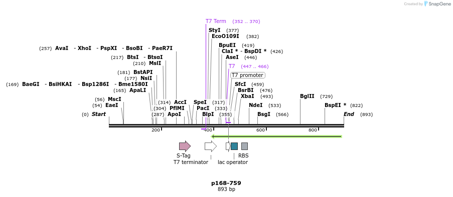 118233_map