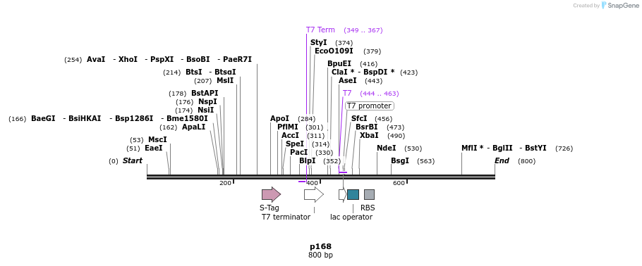 118247_map