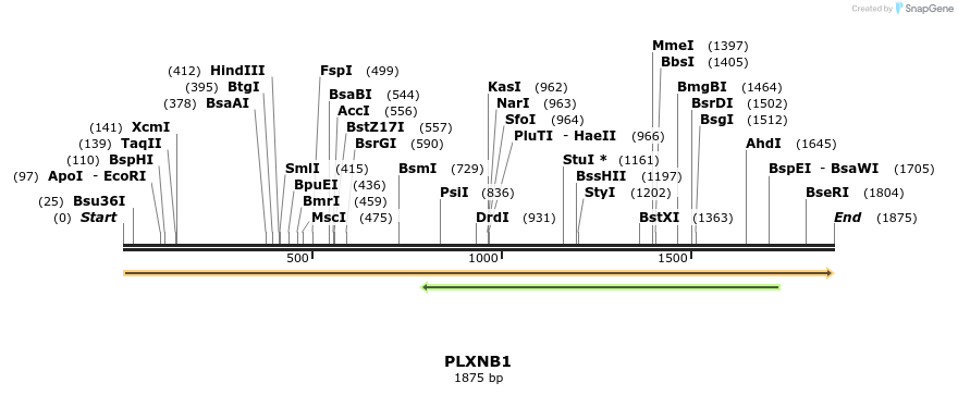 11826_map