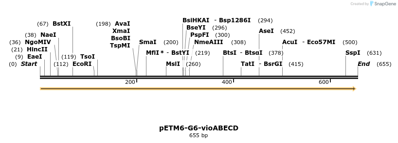 118260_map