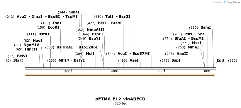118264_map