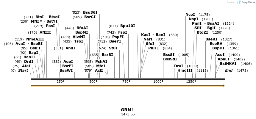 11827_map