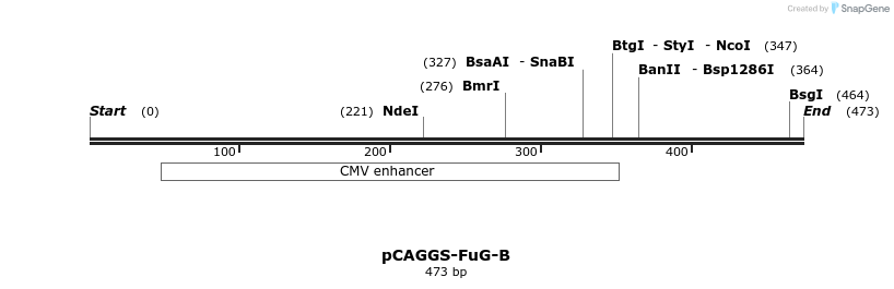 118271_map