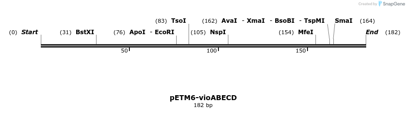 118275_map