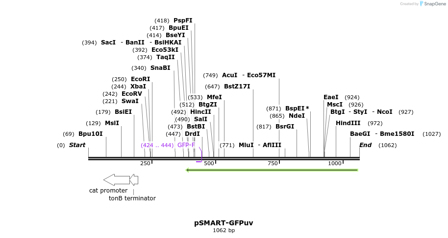 118276_map