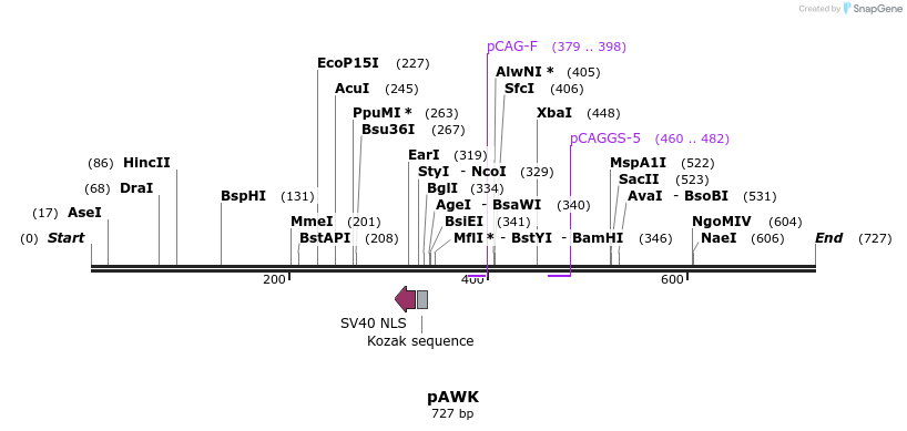 118280_map