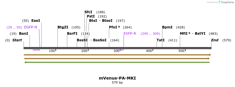 118289_map