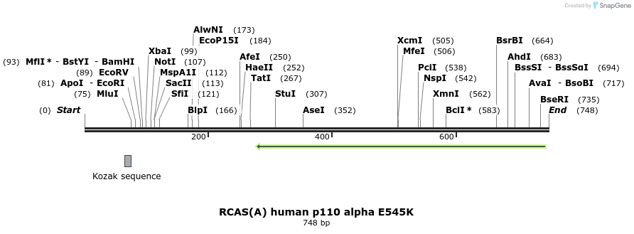 118293_map