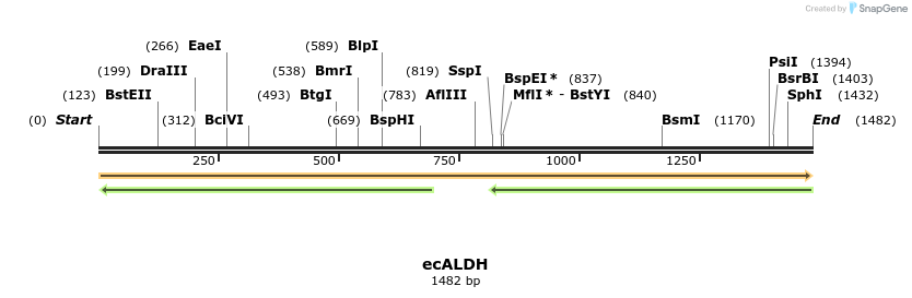 118299_map