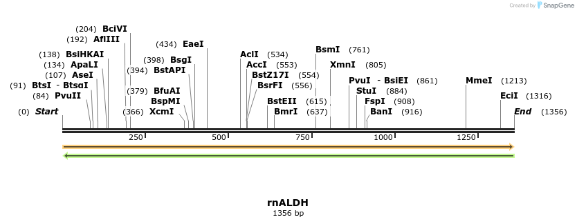 118300_map