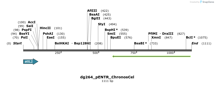 118301_map