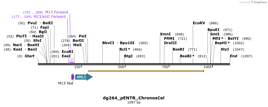 118302_map