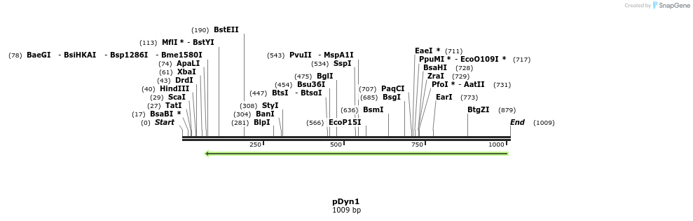 118305_map