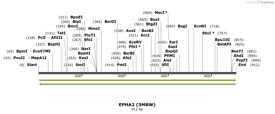 11831_map
