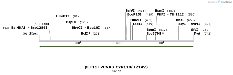 118318_map