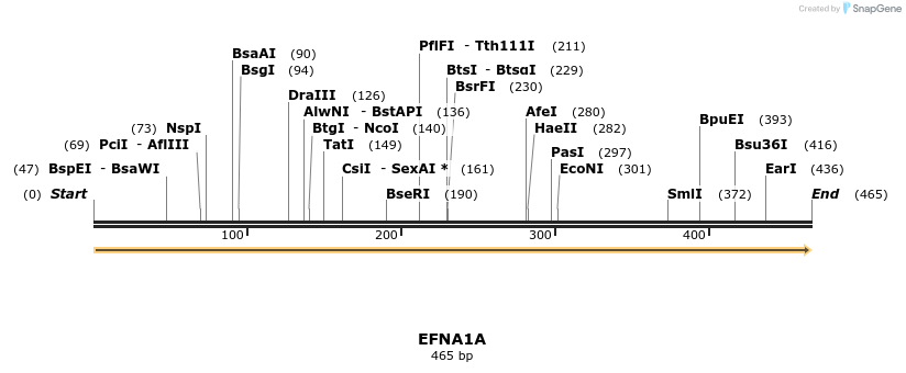 11832_map