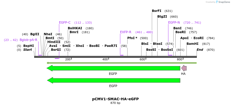 118320_map
