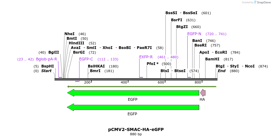118321_map