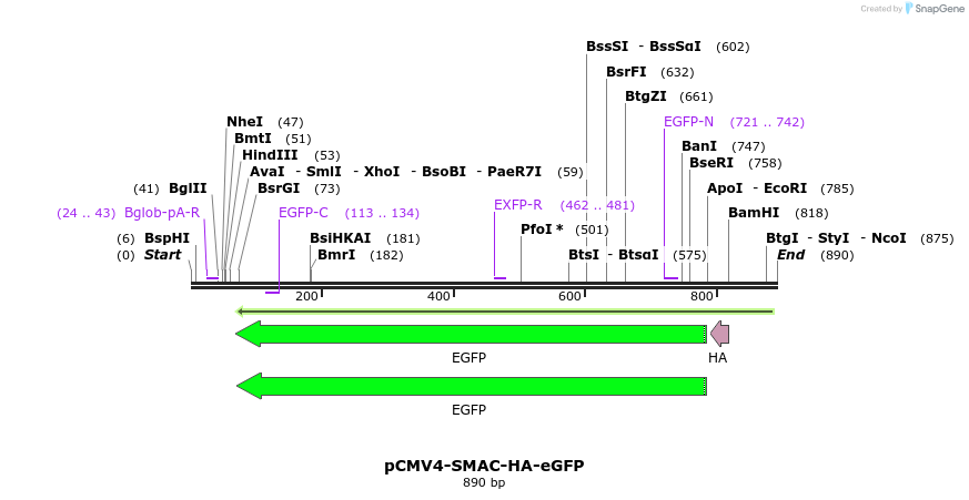 118323_map