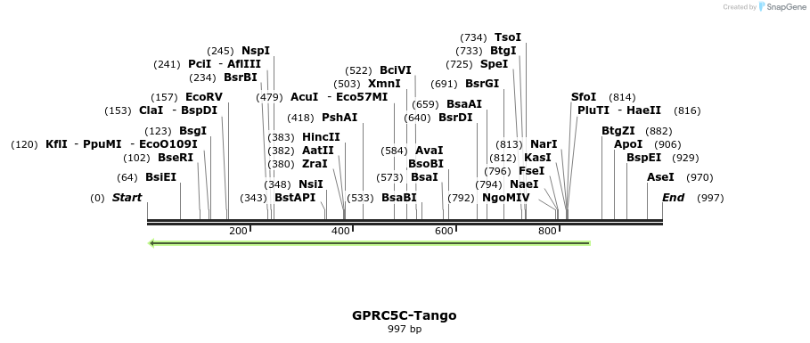 118329_map