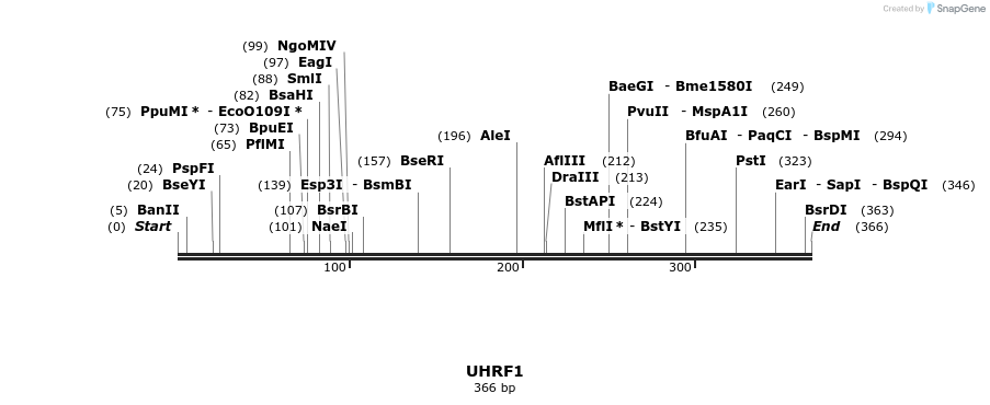 11833_map