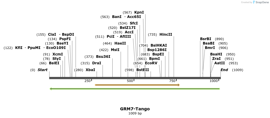 118331_map