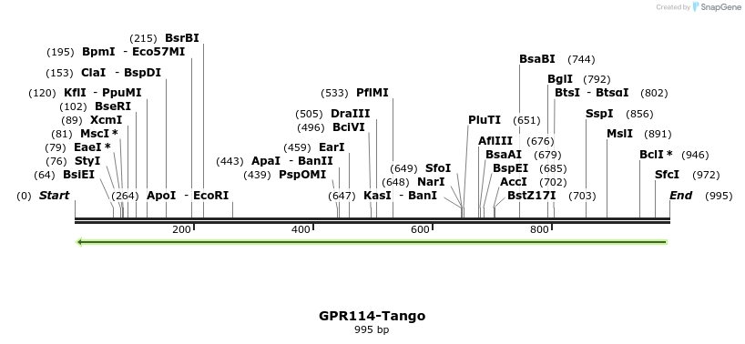 118333_map