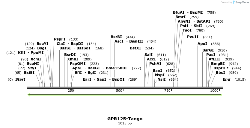 118335_map
