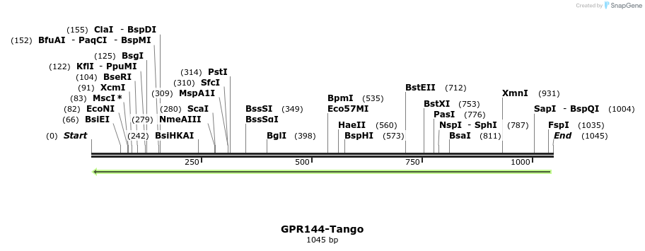 118337_map