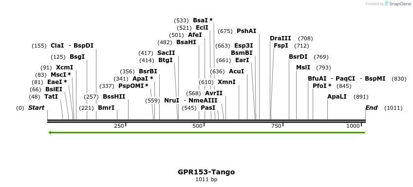 118340_map
