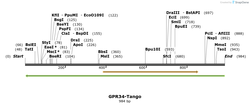 118348_map