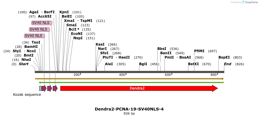 118352_map