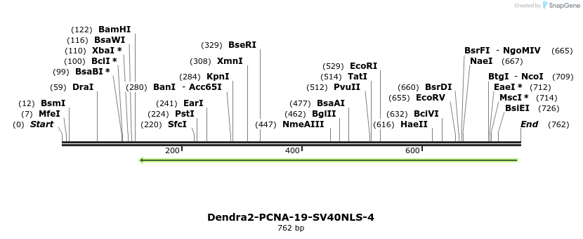 118353_map