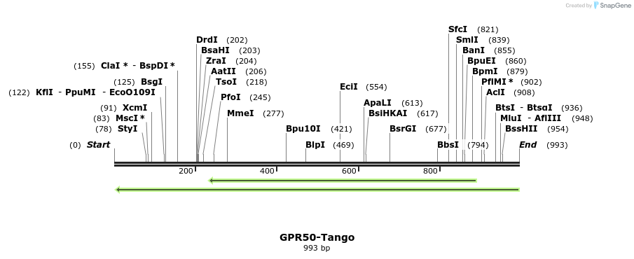 118354_map