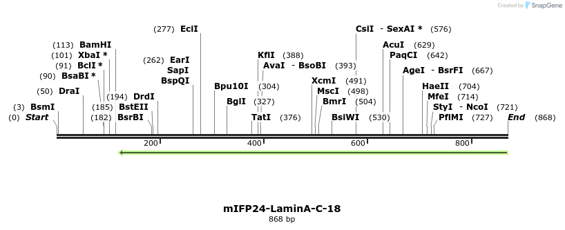 118356_map