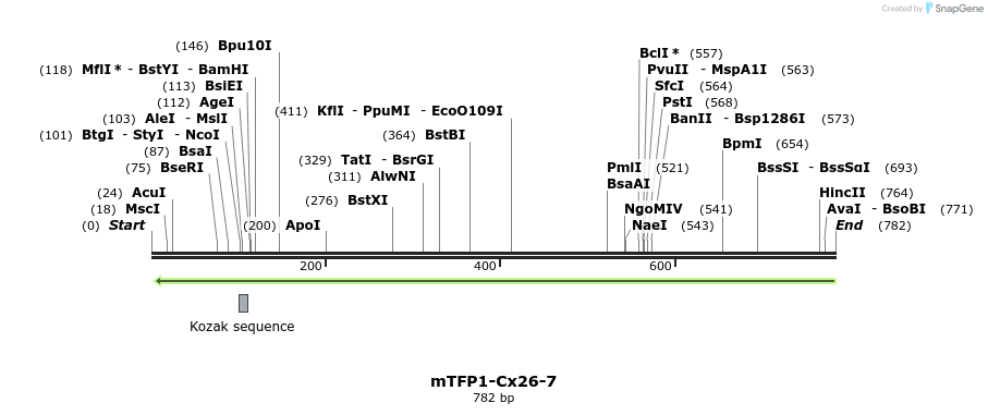 118359_map
