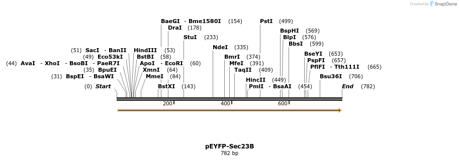 118360_map