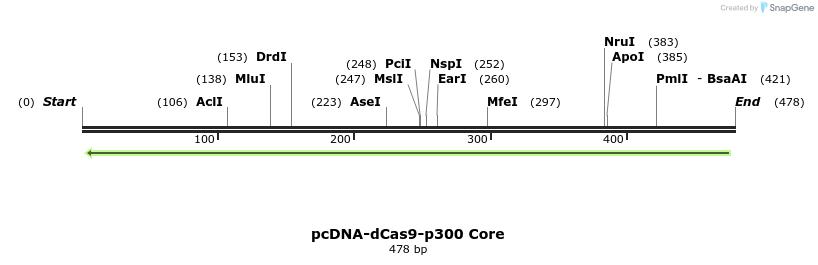 118363_map