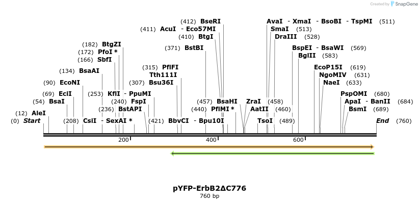 118380_map