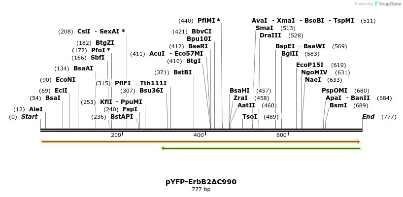 118385_map