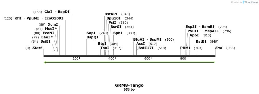 118396_map
