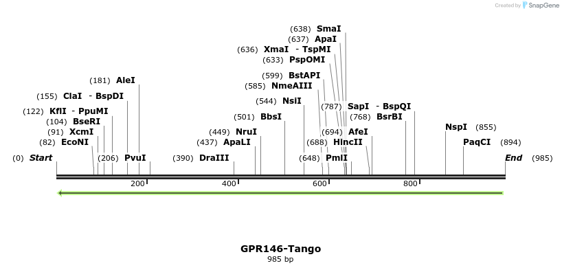 118402_map