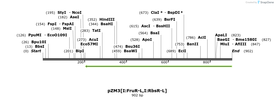 118405_map
