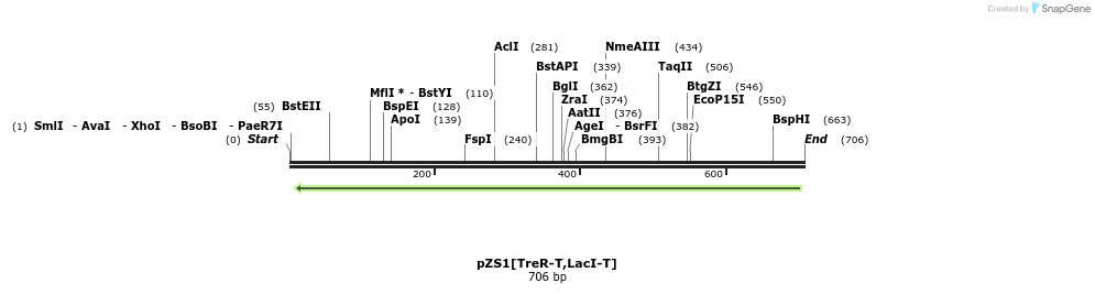 118406_map