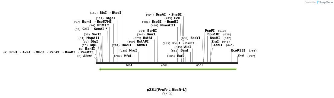 118407_map