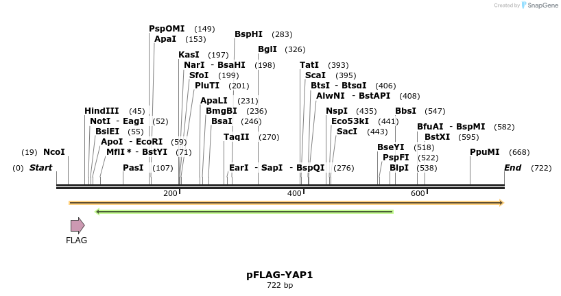 118427_map