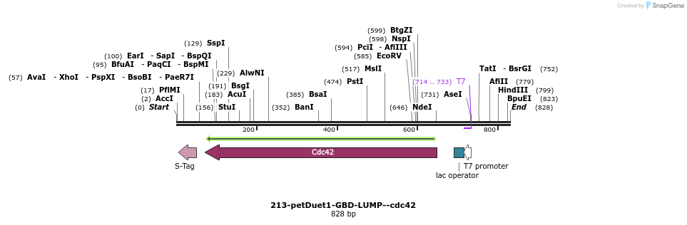118442_map